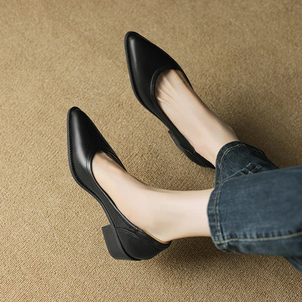 Women's Pointed Toe Pumps, Block Heel Work Heels, Slip On
